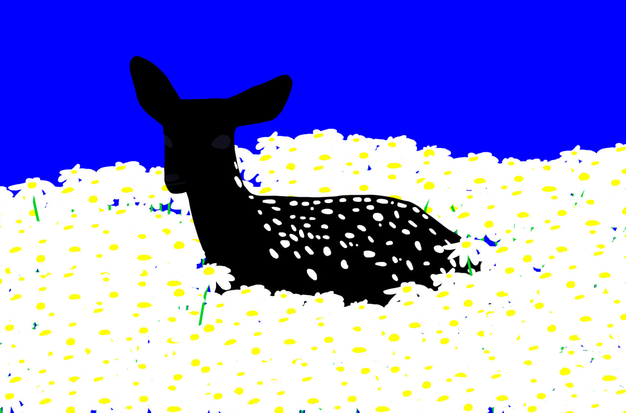 Illustration of a black fawn with white spots resting in a field of daisies under a deep blue sky