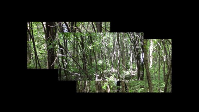Remnants video still